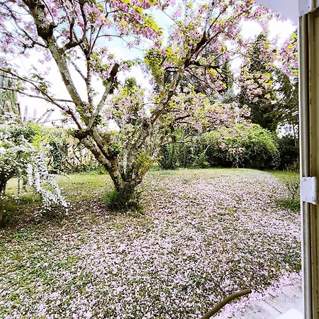 Le Marcel Terrasse Jardin * 欧什