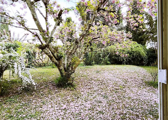 Le Marcel Terrasse Jardin * オーシュ